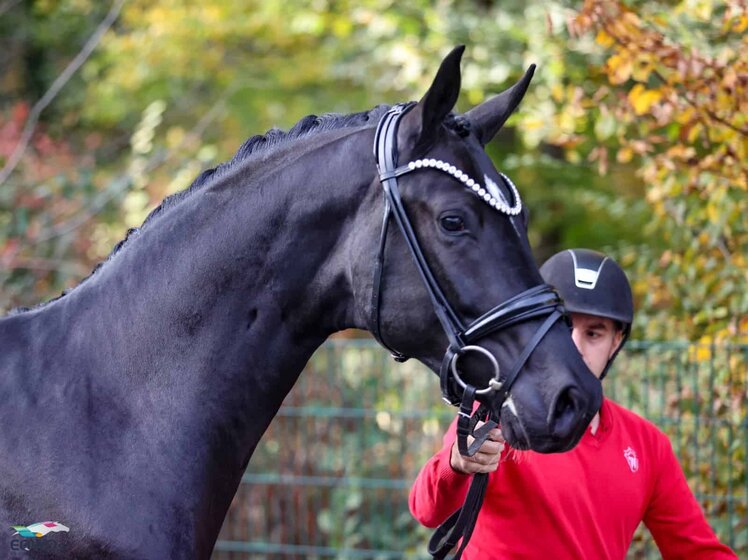 Blank Space (Bonderas x San Amour) (c) Petra Kerschbaum | © (c) Petra Kerschbaum