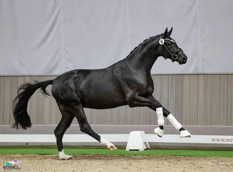 Blank Space (Bonderas x San Amour) (c) Petra Kerschbaum | © (c) Petra Kerschbaum