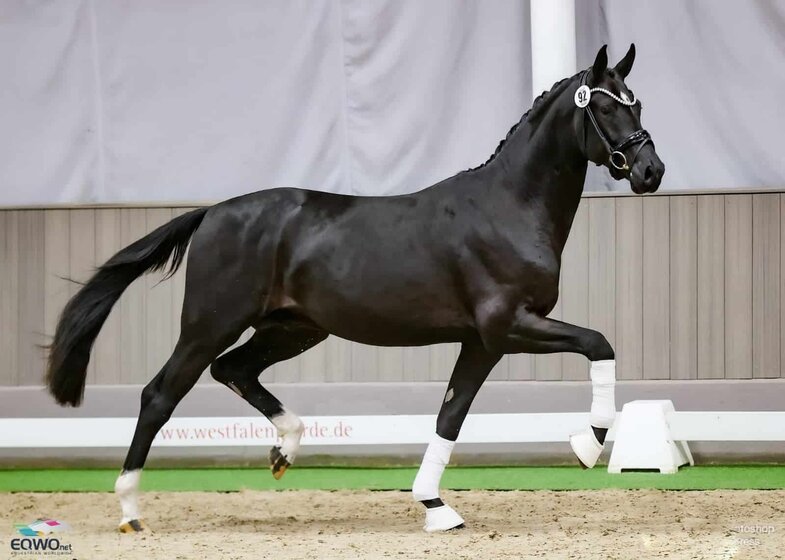 Blank Space (Bonderas x San Amour) (c) Petra Kerschbaum | © (c) Petra Kerschbaum