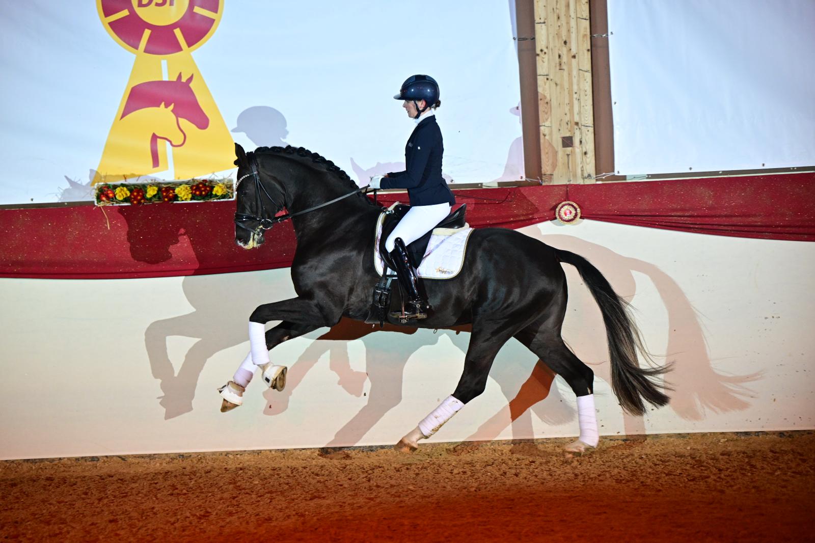 (c) Björn Schröder | © (c) Björn Schröder