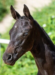 FINERO - Fineline x Secret x Foundation | © @ Hans Kraus