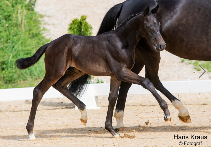 FINERO - Fineline x Secret x Foundation | © @ Hans Kraus