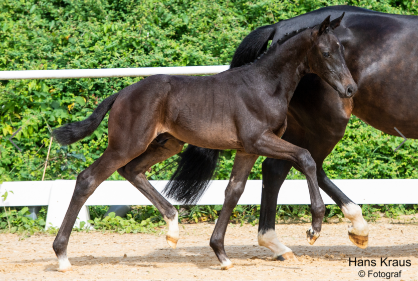 FINERO - Fineline x Secret x Foundation | © @ Hans Kraus